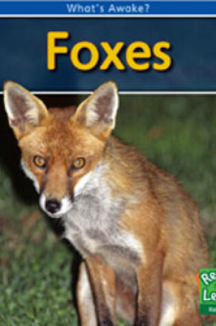 Cover of Foxes