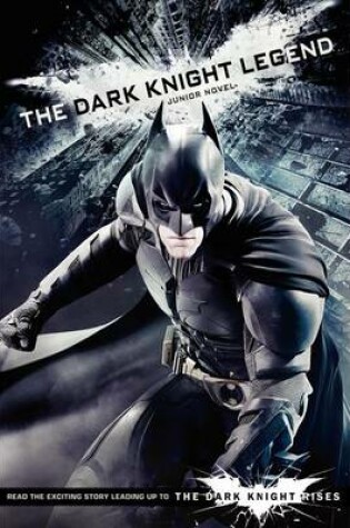 Cover of The Dark Knight Legend