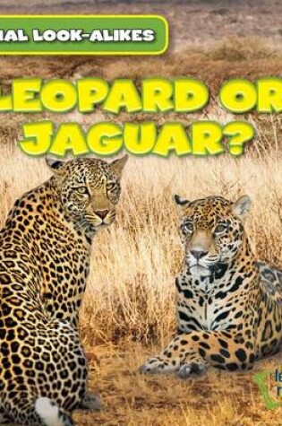 Cover of Leopard or Jaguar?