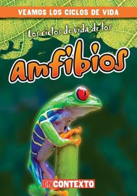 Book cover for Los Ciclos de Vida de Los Anfibios (Amphibian Life Cycles)