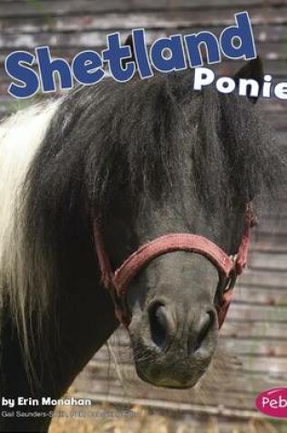 Cover of Shetland Ponies