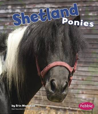 Cover of Shetland Ponies