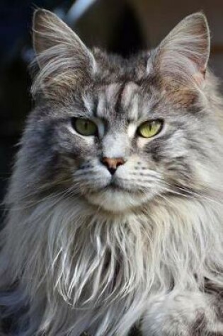 Cover of The Maine Coon Cat Journal "Know Your Place, Human. I Am Your Master."