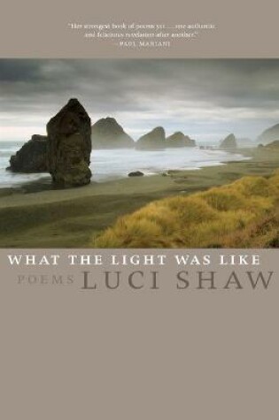 Cover of What the Light Was Like
