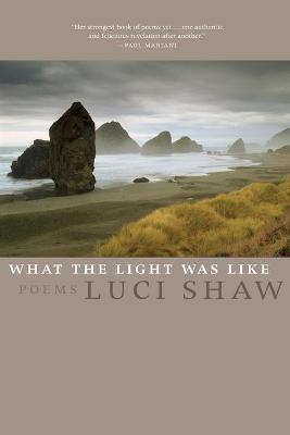 Book cover for What the Light Was Like