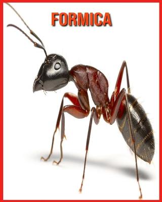 Cover of Formica