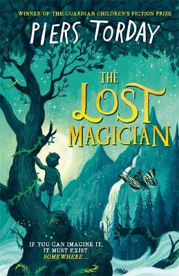 Book cover for The Lost Magician