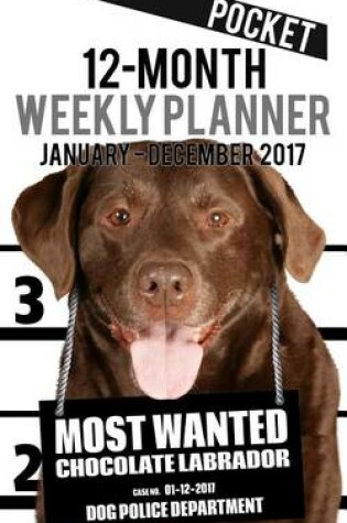 Cover of 2017 Pocket Weekly Planner - Most Wanted Chocolate Labrador