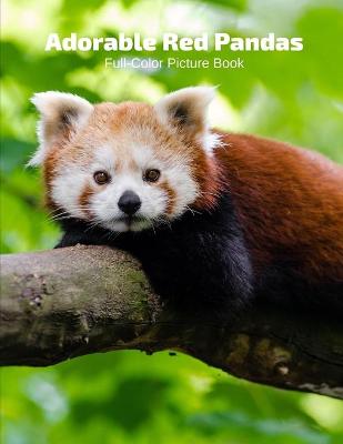 Book cover for Adorable Red Panda Full-Color Picture Book