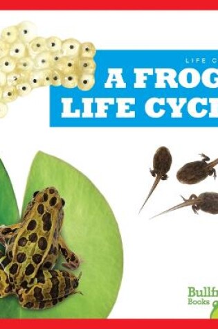 Cover of A Frog's Life Cycle