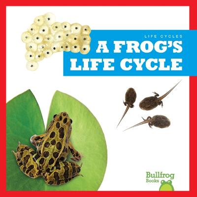 Cover of A Frog's Life Cycle