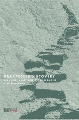 Cover of Unexpected Discovery