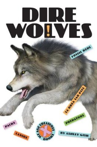 Cover of Dire Wolves