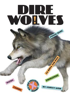Book cover for Dire Wolves
