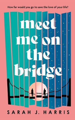 Book cover for Meet Me On The Bridge