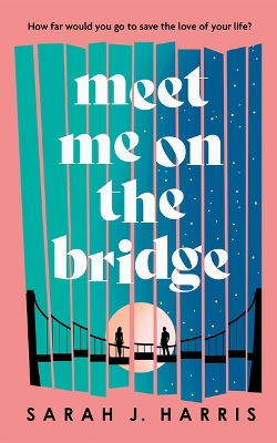 Book cover for Meet Me On The Bridge