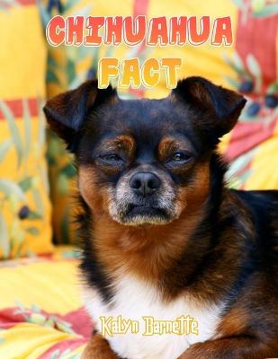 Book cover for Chihuahua Fact