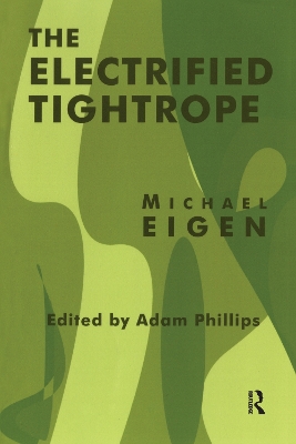 Book cover for The Electrified Tightrope