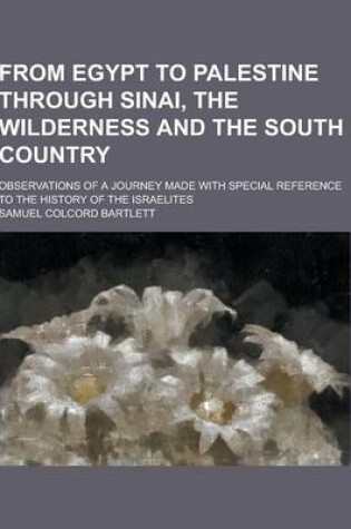 Cover of From Egypt to Palestine Through Sinai, the Wilderness and the South Country; Observations of a Journey Made with Special Reference to the History of T