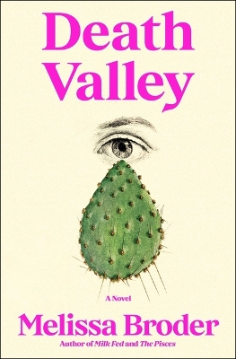 Book cover for Death Valley