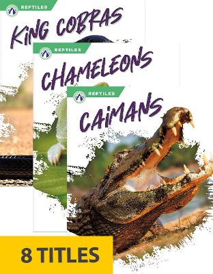 Cover of Reptiles (Set of 8)