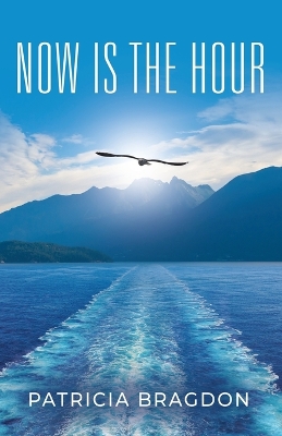 Cover of Now is the Hour