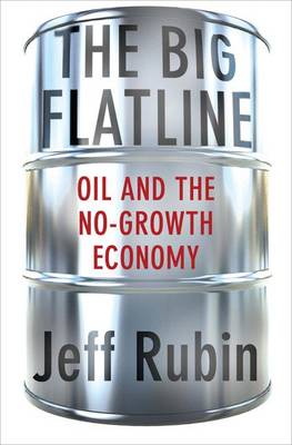 Book cover for The Big Flatline