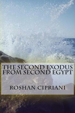 Cover of The Second Exodus From Second Egypt