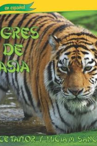 Cover of Tigres de Asia (Tigers of Asia)