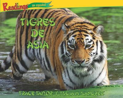 Book cover for Tigres de Asia (Tigers of Asia)