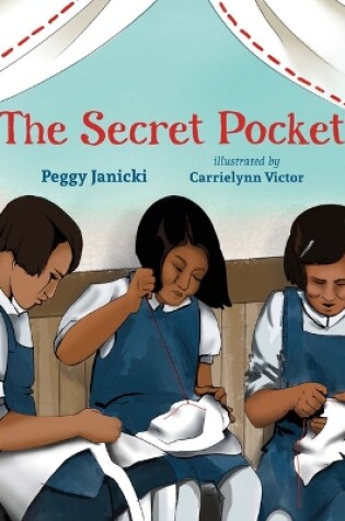 Cover of The Secret Pocket