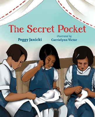 Book cover for The Secret Pocket