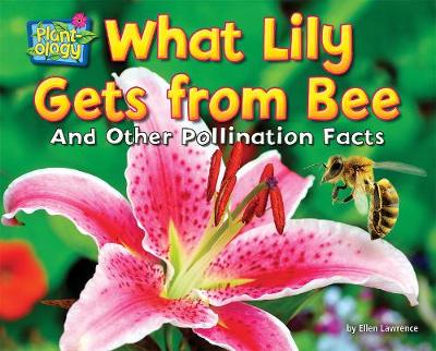 Book cover for What Lily Gets from Bee