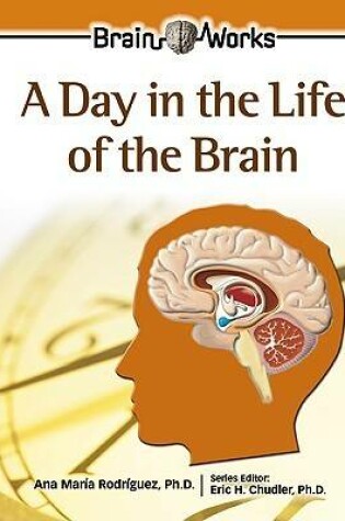 Cover of A Day in the Life of the Brain