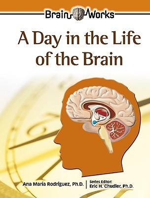 Book cover for A Day in the Life of the Brain