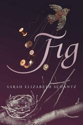 Book cover for Fig