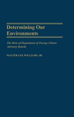 Book cover for Determining Our Environments