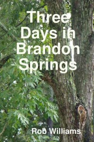 Cover of Three Days In Brandon Springs