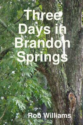 Book cover for Three Days In Brandon Springs