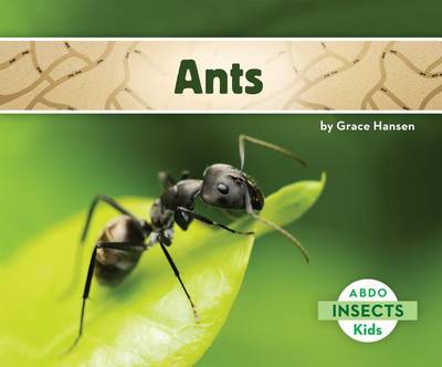 Cover of Ants