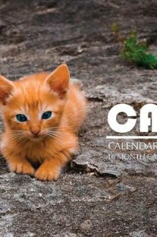 Cover of Cat Calendar 2019