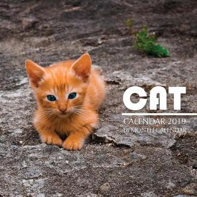 Book cover for Cat Calendar 2019