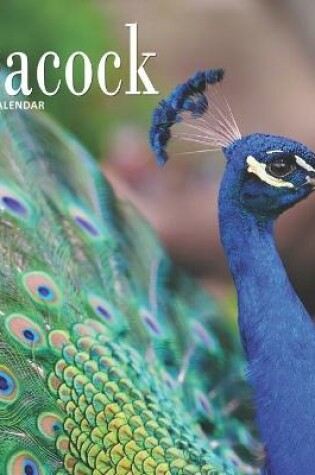 Cover of Peacock