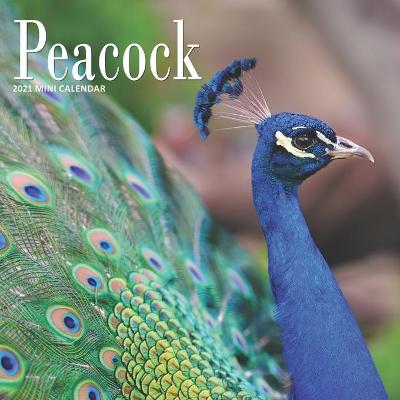 Book cover for Peacock