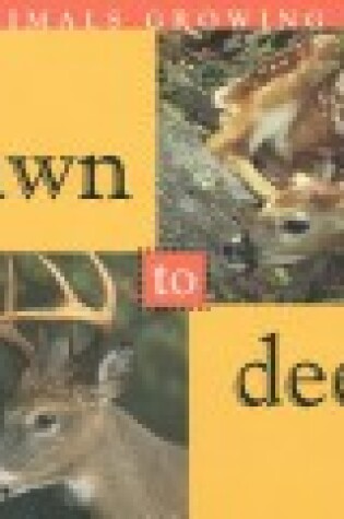 Cover of Fawn to Deer
