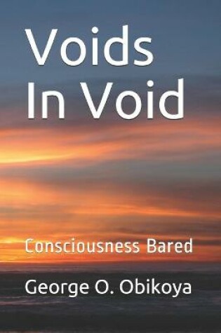 Cover of Voids In Void