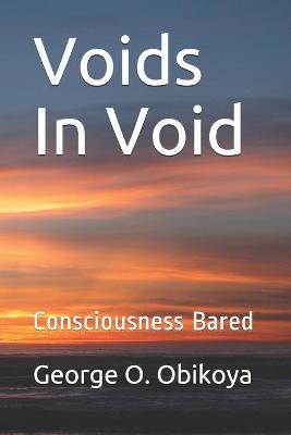 Book cover for Voids In Void