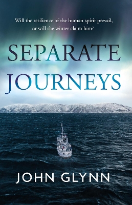 Book cover for Separate Journeys