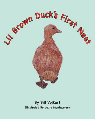 Book cover for Lil Brown Duck's First Nest