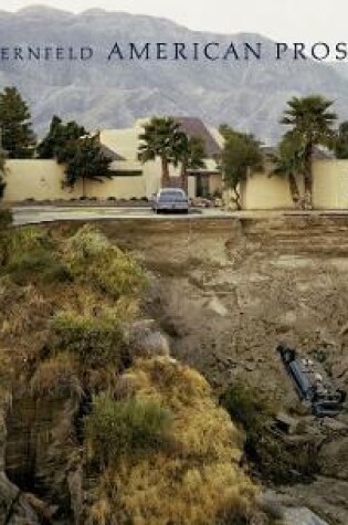 Cover of Joel Sternfeld: American Prospects